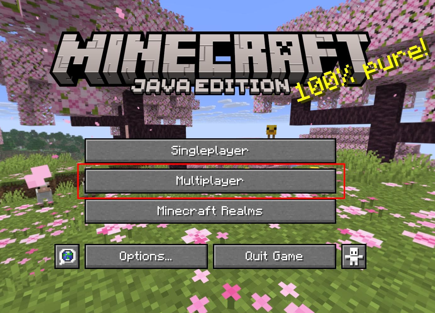 The Minecraft: Java Edition main menu with the Multiplayer button highlighted.